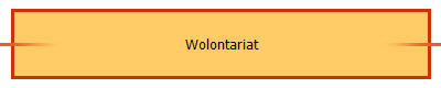 Wolontariat